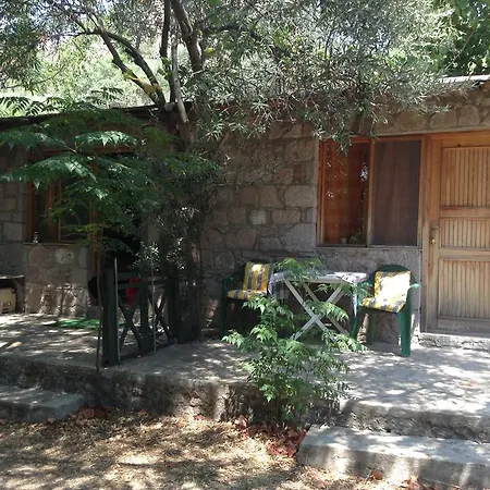 Bronz * Ayvacik (Canakkale)