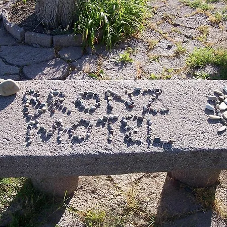 Bronz